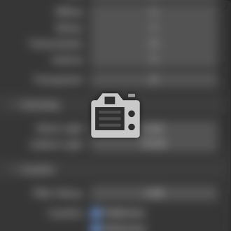 Optimal settings for previewing shots