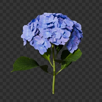 Render with transparent background